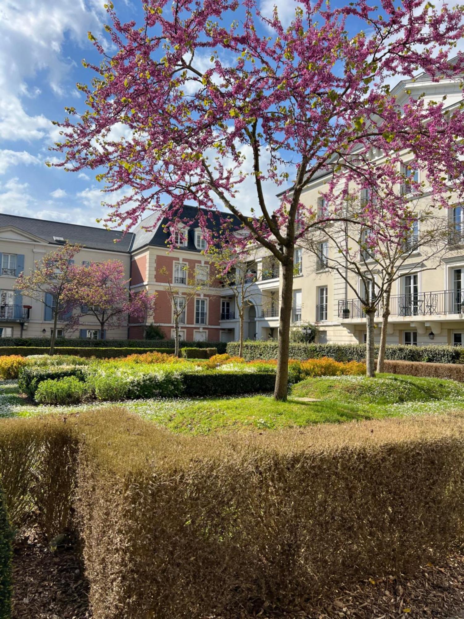 Appartement Disneyland Idealement Situe Сери Екстериор снимка